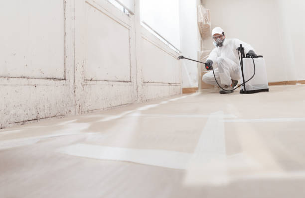 24/7 Emergency Bathroom Mold Removal experts in Augusta, GA