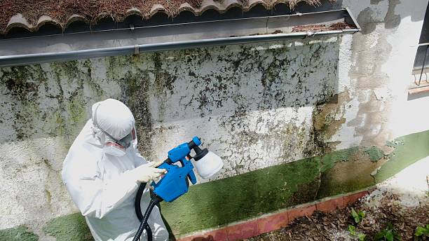 Top rated local Bathroom Mold Removal specialists in Augusta, GA